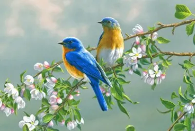 pajaritos en la rama