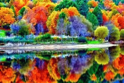 paisajes jigsaw puzzle