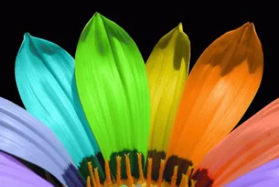 multicolor jigsaw puzzle