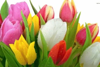 multicolor jigsaw puzzle