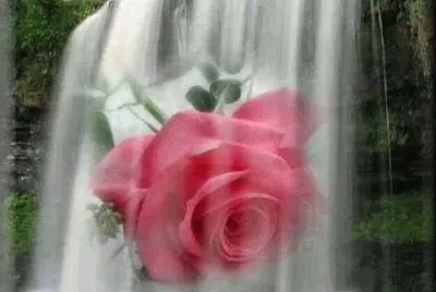 imagens jigsaw puzzle