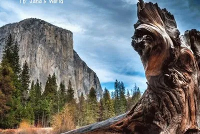 imagens jigsaw puzzle