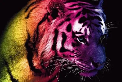 multicolor jigsaw puzzle