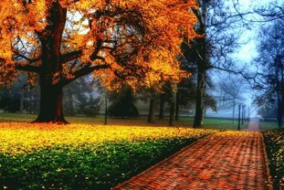 multicolor jigsaw puzzle