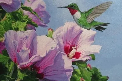 Wildlife Art