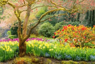 paisajes jigsaw puzzle