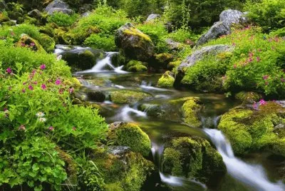 Paisaje jigsaw puzzle