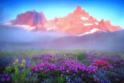 Paisaje jigsaw puzzle