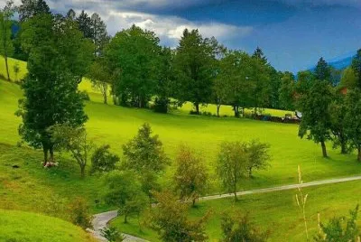 imagens jigsaw puzzle