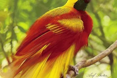 color