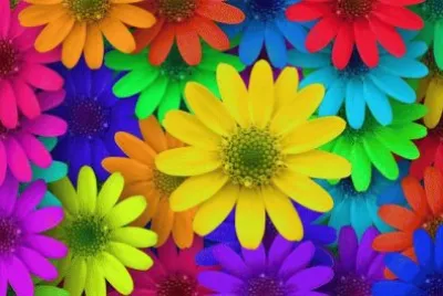 Spring Time jigsaw puzzle