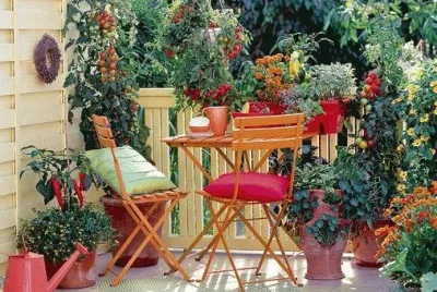 imagenes jigsaw puzzle