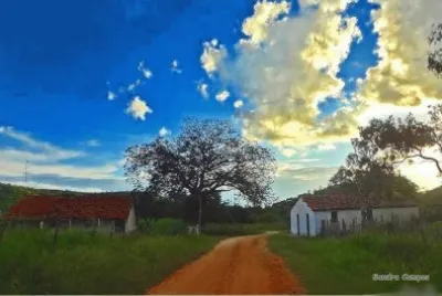 NATUREZA jigsaw puzzle