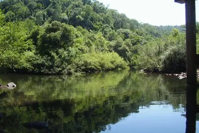 Arroyo Piray GuazÃº. Misiones. Argentina jigsaw puzzle
