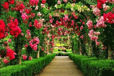 paisajes jigsaw puzzle