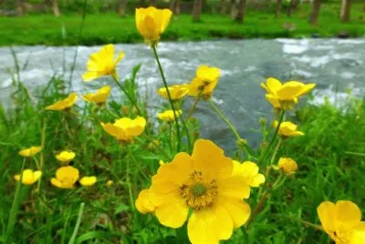 imagens jigsaw puzzle