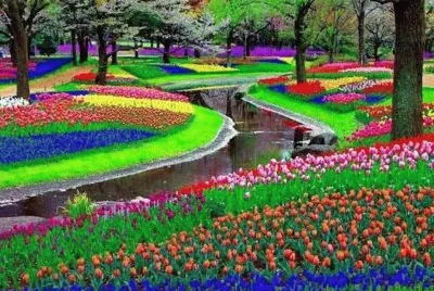 color jigsaw puzzle
