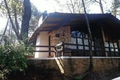 mazamitla