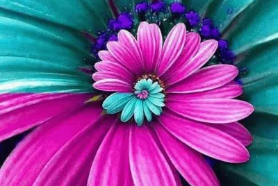 Amazing Flower