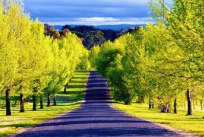 imagens jigsaw puzzle