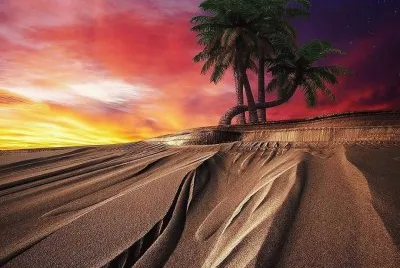 imagens jigsaw puzzle