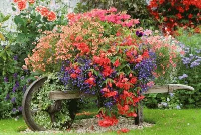 imagenes jigsaw puzzle