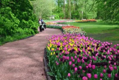 flowers jigsaw puzzle