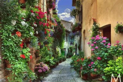 paisajes jigsaw puzzle