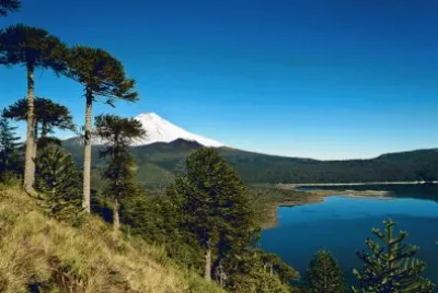 imagens jigsaw puzzle
