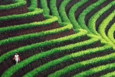 imagens jigsaw puzzle