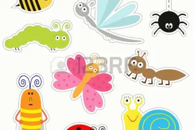 insectos