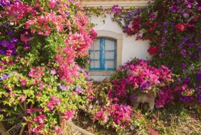 paisajes jigsaw puzzle