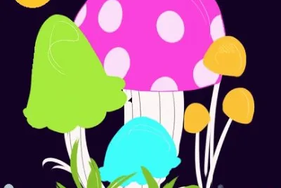 lily6