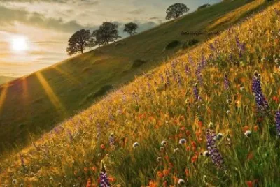 imagens jigsaw puzzle