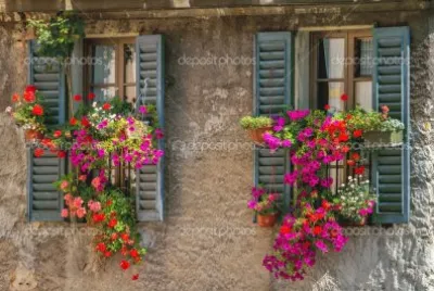 imagenes jigsaw puzzle