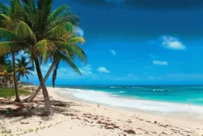 bahamas jigsaw puzzle