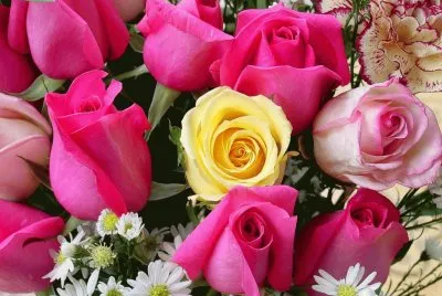 flowers