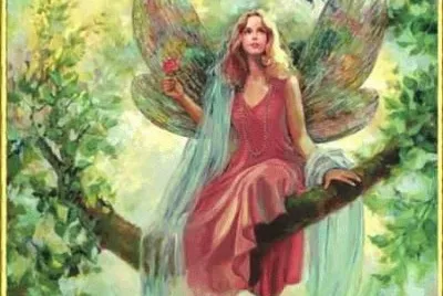 anjo
