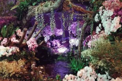 orquideas jigsaw puzzle