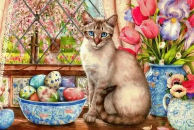 gato