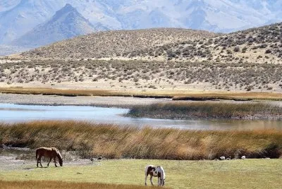 Cerca de Esquel. Chubut. Argentina