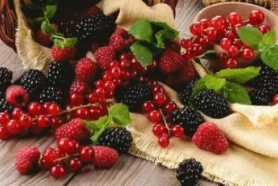fruits