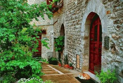 Asis-Italia