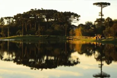 imagens jigsaw puzzle