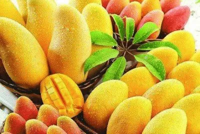 imagens jigsaw puzzle
