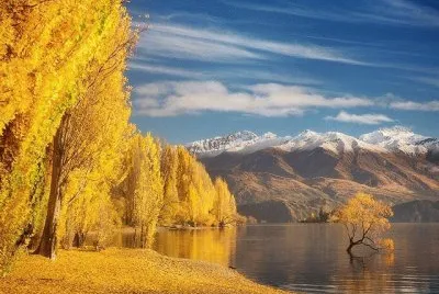 imagens jigsaw puzzle
