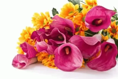 flowers