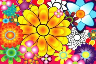 Flowers and Plant