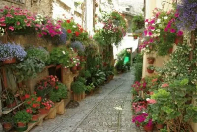 paisajes jigsaw puzzle