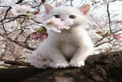 apr3